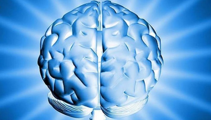 الدماغ يحتفظ بنسختين من الذاكرة في آن واحد