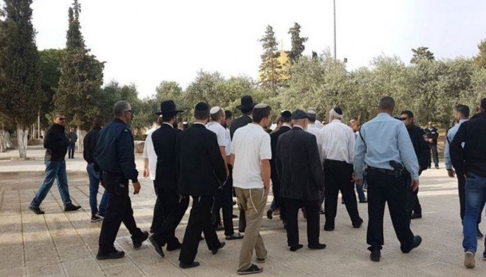 اليوم.. 385 مستوطنًا اقتحموا الأقصى