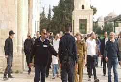 هيئات مقدسية تحذر من استباحة الاحتلال الأقصى بقوة السلاح