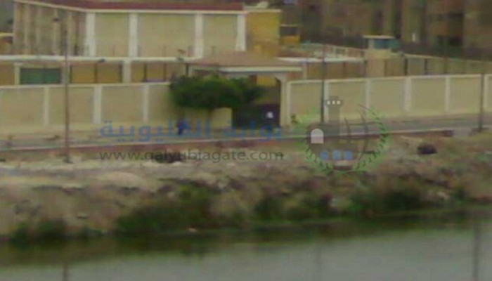 إدارة سجن بنها تسعى لقتل المعتقلين طبيا