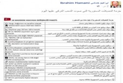 حمامي يوضح أبرز ملامح التعديلات الدستورية التركية .. تعرف عليها