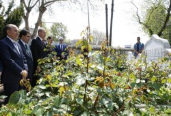 أردوغان يزور ضريح أستاذه الراحل نجم الدين أربكان