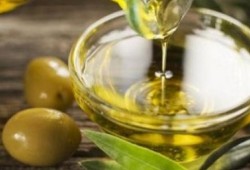 فوائد زيت الزيتون للعضلات