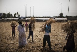 هكذا ابتلع السيسي حقوق الفقراء والفلاحين في موازنته الجديدة