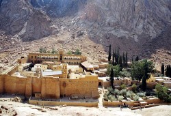 ناشط سياسي يكشف حقيقة حادث "سانت كاترين"