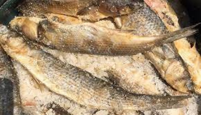 لليوم الثاني.. غياب الرقابة يُسمم 3 أفراد بالبحيرة بسبب وجبة "فسيخ"