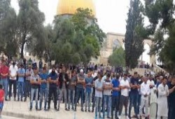 خطيب الأقصى: نصرة الأسرى واجب شرعي