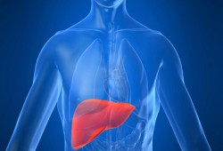 منظمة الصحة تحث على التحرك لمواجهة الالتهاب الكبدى الوبائى
