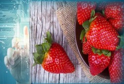 الفراولة سلاح قوي لمكافحة السرطان .. هذه فوائدها