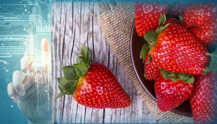 الفراولة سلاح قوي لمكافحة السرطان .. هذه فوائدها