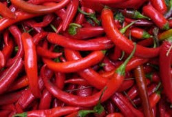 الإمارات تحظر "الفلفل المصري" لإصابته بالمبيدات القاتلة