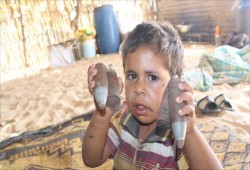 نجلة الشاطر ساخرة: هكذا ستغنّي "شادية" بذكرى تحرير سيناء