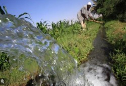 مخاوف من تفاقم أزمة المياه بمصر بسبب استثمارات خليجية زراعية بالسودان