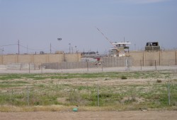 لمن يبني السيسي 19 سجنا؟!