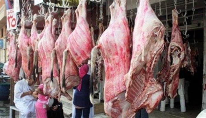 كيلو البتلو يسجل 160 جنيهًا والكندوز 125 وارتفاعات جديدة في رمضان