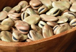 7 أطعمة تستخدم بشكل طبي لعلاج الأمراض.. منها ''الفول''