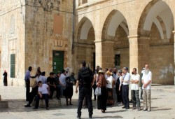 قطعان همج صهاينة يقتحمون الأقصى