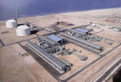 أهالي إدكو: شركات البترول بالمدينة تتسبب في قتل الأسماك