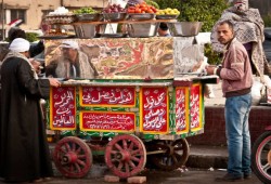 بعد ارتفاع أسعار الفول والفلافل.. موقع أوروبي يتسائل "كيف يقتات المصريون؟!"