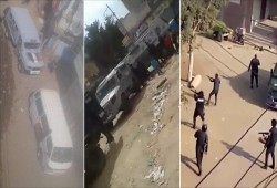بلطجية الداخلية يسرقون مواشي عم شهيد بالبصارطة ويستولون على الممتلكات الخاصة