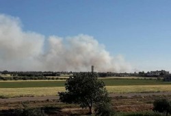 نظام الأسد يستهدف المحاصيل الزراعية في عدة محافظات بغية إحراقها