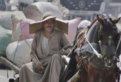 الأرصاد: استمرار موجة الحر حتى يوم غد الإثنين