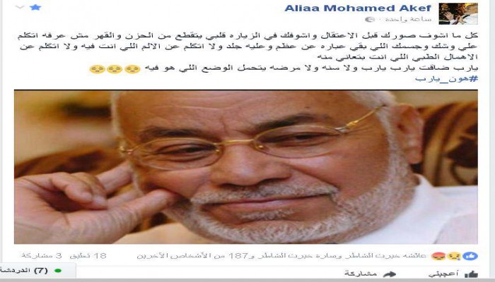 ابنة "مهدى عاكف" تكشف تفاصيل انتهاكات العسكر للمرشد السابق