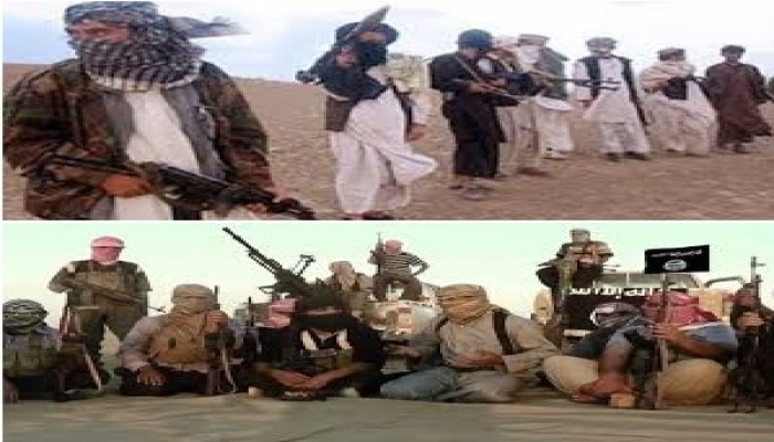 تقارير استخباراتية: السيسي يورط جيشه في دماء أهالي سيناء خدمة للكيان الصهيونى