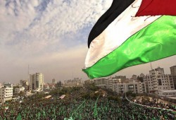 الرشق: "حماس" حركة تحرر وطني وتصريحات ترمب منحازة للاحتلال