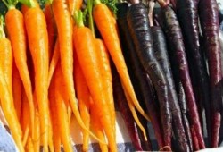 الأطعمة المفيدة لصحة العين وتقوية الإبصار