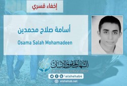 اعتقال 6 من المنوفية وكفر الشيخ.. وإخفاء طالب وموجه بالدقهلية وظهور 16