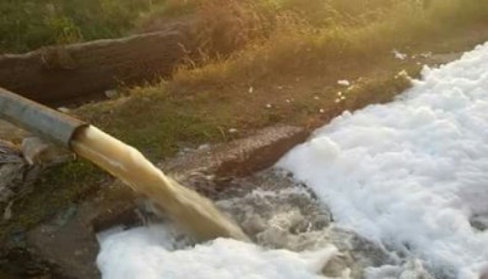 اختلاط مياه الري بالصرف الصحي بالمحمودية