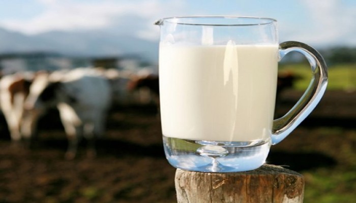طبيب تركي يحث صائمي رمضان على شرب الحليب يوميا