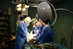 أطباء أتراك يبتكرون تقنية فريدة لزراعة الكبد