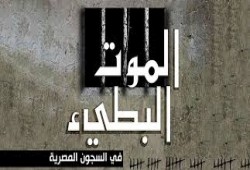 استغاثة من أهالي معتقلين بسجن بنها العمومي