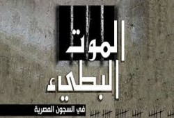استغاثة من أهالي معتقلين بسجن بنها العمومي