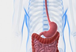 5 أعراض لمشاكل الجهاز الهضمي في رمضان.. كيف يمكنك التخلص منها؟