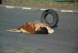 فتاة عارية ملقاة بـ ميدان باب الشعرية تستغيث ولا حياة لمن تنادي