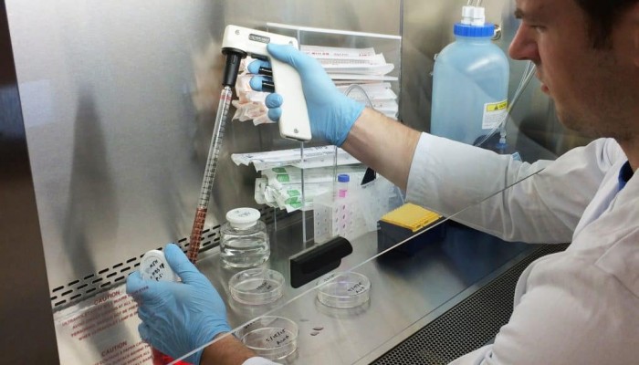 الأمم المتحدة: 11 ألف مصاب بالإيدز في مصر