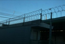 شبكة حقوقية: استشهاد 18 شخصاً معظمهم بسجون الأسد فى مايو 2017