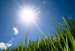 أخبار الطقس ودرجات الحرارة المتوقعة اليوم السبت