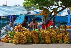 جزر المالديف تقاطع قطر.. ومغردون ساخرون: "ناقص جزر القمر"