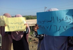 دمياط : أوقفوا المجنون.. الأسعار أخبارها ايه!!