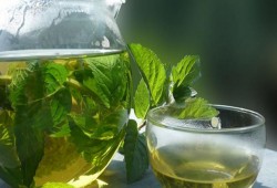 10 من فوائد النعناع وما أكثرها!