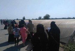 نبروه ترفض تأييد إعدام شباب المنصورة