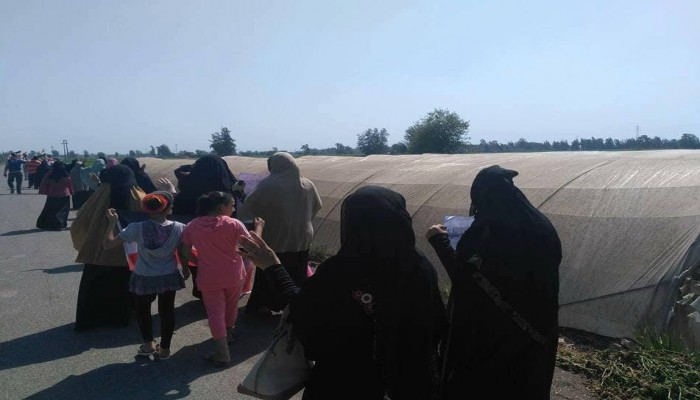 نبروه ترفض تأييد إعدام شباب المنصورة