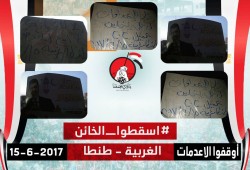 الغربية: فعالية مناهضة لتفريط الانقلاب في الجُزر بطنطا