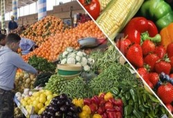 عضو برلمان العسكر: مفيش غلاء واللي يقول غير كده يبقي "إخوان"! (فيديو)