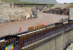 كوارث السيسي.. مصر تفقد مليون فدان سنويًا بدءا من أول يوليو