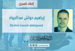 الشهاب يدين اختطاف العسكر لـ "إبراهيم حواش" وإخفاء مقر احتجازه